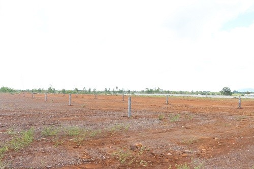 Ba Ria-Vung Tau xu ly nghiem cac ca nhan vi pham viec phan lo, lam duong tren dat nong nghiep