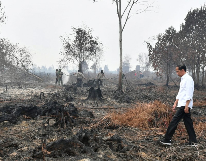 Vi sao bau troi o Indonesia nhu ruc lua?-Hinh-13