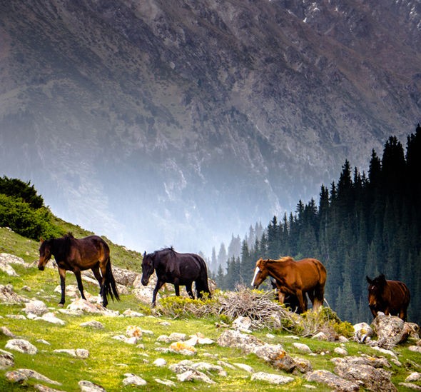 Dieu bat ngo thu vi ve dat nuoc Kyrgyzstan-Hinh-8