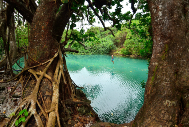 Quoc dao Vanuatu co nen van hoa da dang nhat the gioi-Hinh-11