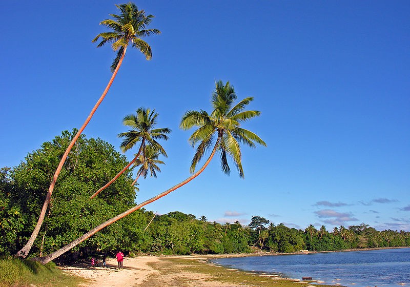 Quoc dao Vanuatu co nen van hoa da dang nhat the gioi-Hinh-4