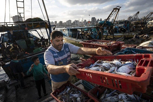 Hinh anh chan thuc cuoc song ngu dan Gaza sau lenh ngung ban Israel - Hamas