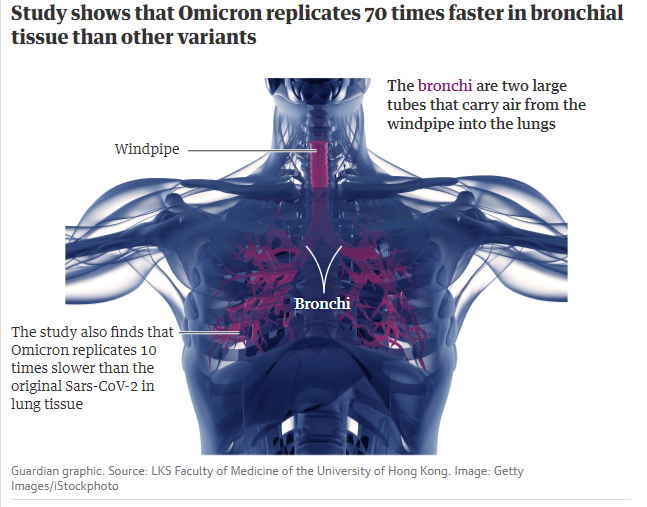 COVID-19: Bien the Omicron de lay hon Delta nhung it gay benh nang