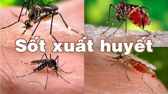 Nhung dich benh 'tan cong' 2022: COVID-19, virus Adeno, dau mua khi-Hinh-10