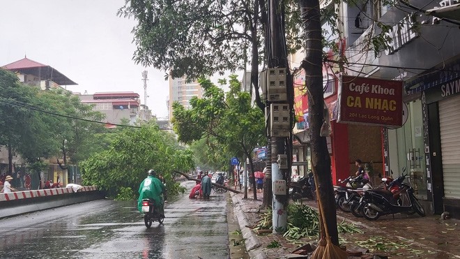 Hinh anh Ha Noi mua lon, nhieu o to bi cay do de bep-Hinh-4