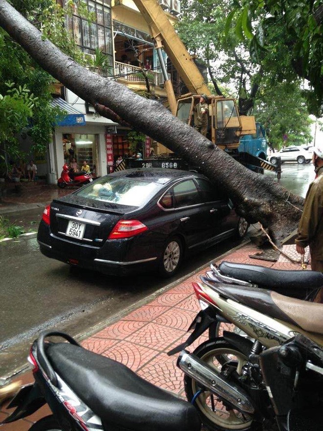 Hinh anh Ha Noi mua lon, nhieu o to bi cay do de bep-Hinh-5