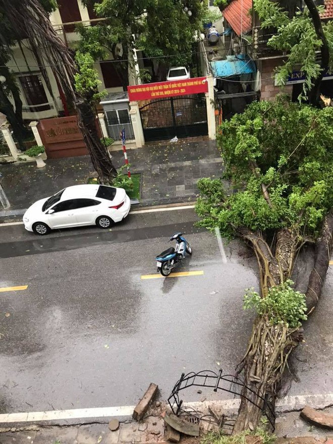 Hinh anh Ha Noi mua lon, nhieu o to bi cay do de bep