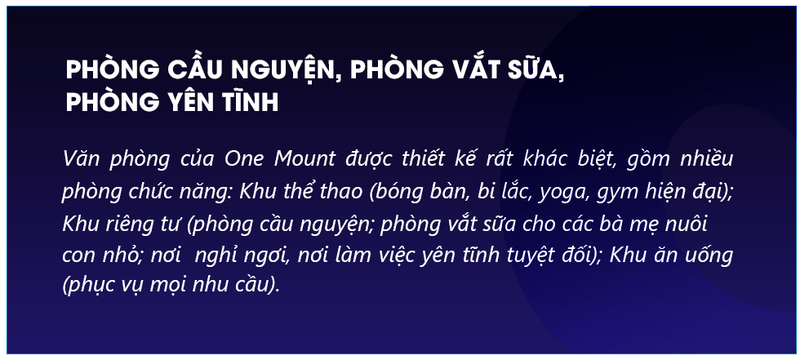 Ky luc san dau nguoi cua Tap doan Viet Nam 4 tuoi-Hinh-12