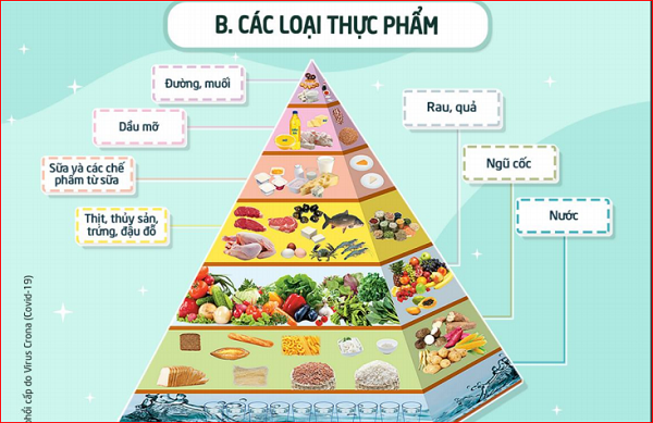 'Thien an' giu tinh than thoai mai trong mua dich nhu nao?-Hinh-6