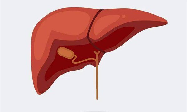 4 loai Vitamin co the hai gan khung khiep-Hinh-7