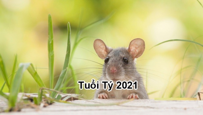 Tử vi 12 con giáp năm 2021 (Phần 1) - Hình 2 Tu vi 12 con giap nam 2021 (Phan 1)-Hinh-2