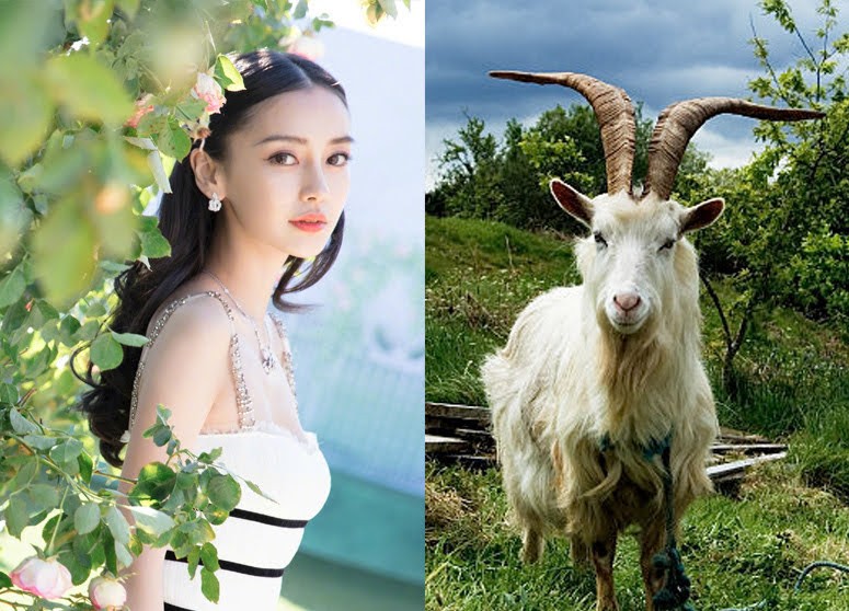 Tu vi ngay 1/11/2020 cho 12 con giap: Dan duoc giup do, Suu ap luc-Hinh-8