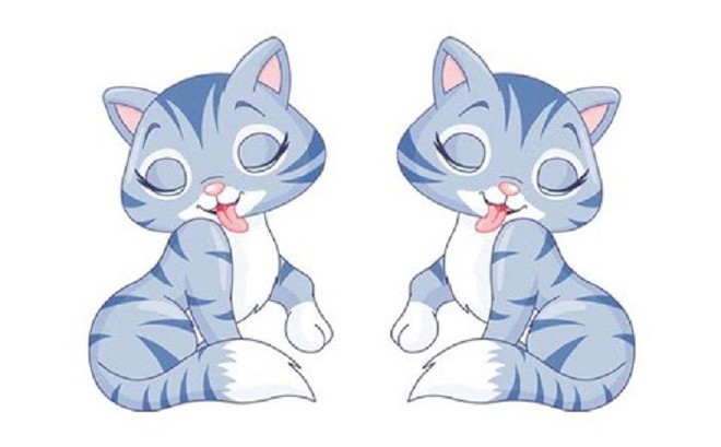 Tử vi ngày 12/11/2020 cho 12 con giáp: Tý suy nghĩ về tiền bạc, Tuất giỏi kiếm tiền - Hình 4 Tu vi ngay 12/11/2020 cho 12 con giap: Ty suy nghi ve tien bac, Tuat gioi kiem tien-Hinh-4