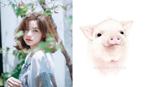 Tử vi ngày 20/11/2020 cho 12 con giáp: Sửu Dần được giúp đỡ, Tỵ dính thị phi - Hình 12 Tu vi ngay 20/11/2020 cho 12 con giap: Suu Dan duoc giup do, Ty dinh thi phi-Hinh-12