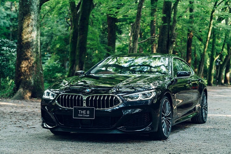 Dai gia Nhat chi hon 4,6 ty dong cho BMW 8 Series dac biet