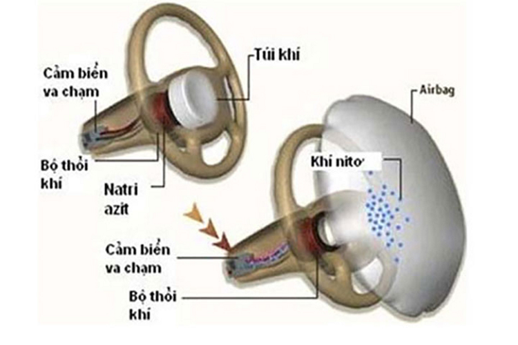 Nhung quan niem sai lam pho bien ve tui khi tren xe hoi-Hinh-5