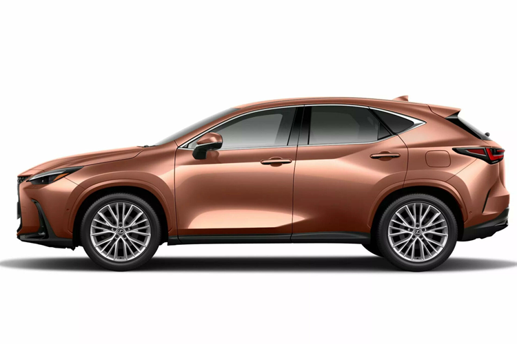 Gia chi hon 1 ty dong, xe Lexus NX 2024 ban Overtrail Edition co gi?-Hinh-2