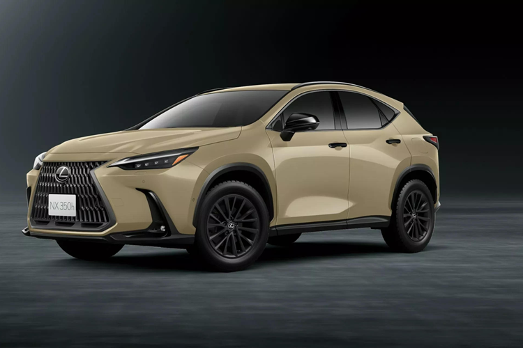 Gia chi hon 1 ty dong, xe Lexus NX 2024 ban Overtrail Edition co gi?