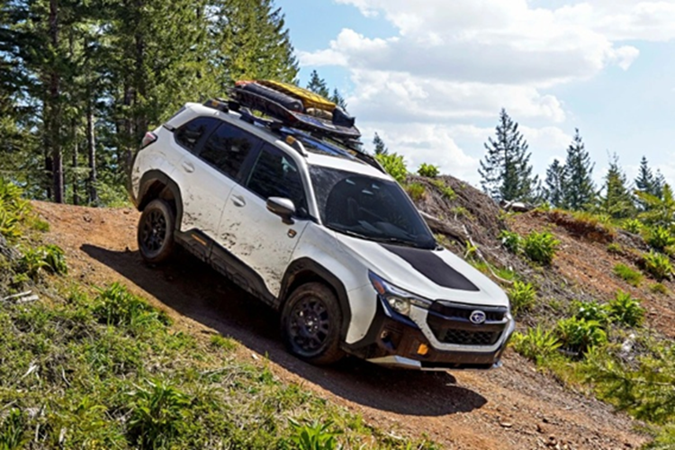 SUV cho dan me offroad Subaru Forester Wilderness 2026-Hinh-3