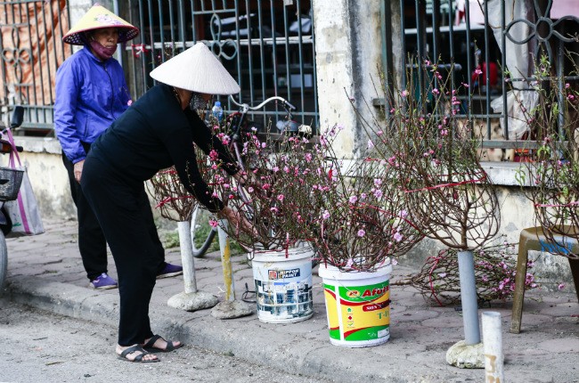 Dao no som, nguoi dan ru nhau mua ve choi Tet Duong lich-Hinh-6