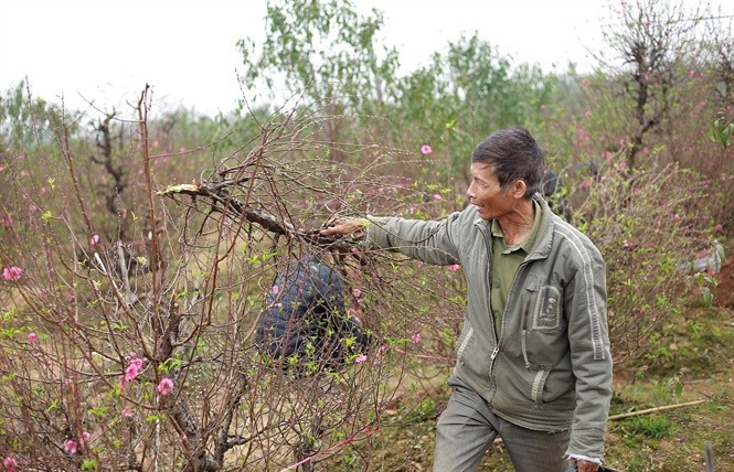 Doc gi hom nay 24/1: Khach dung bat lua soi xang tai cay xang-Hinh-4