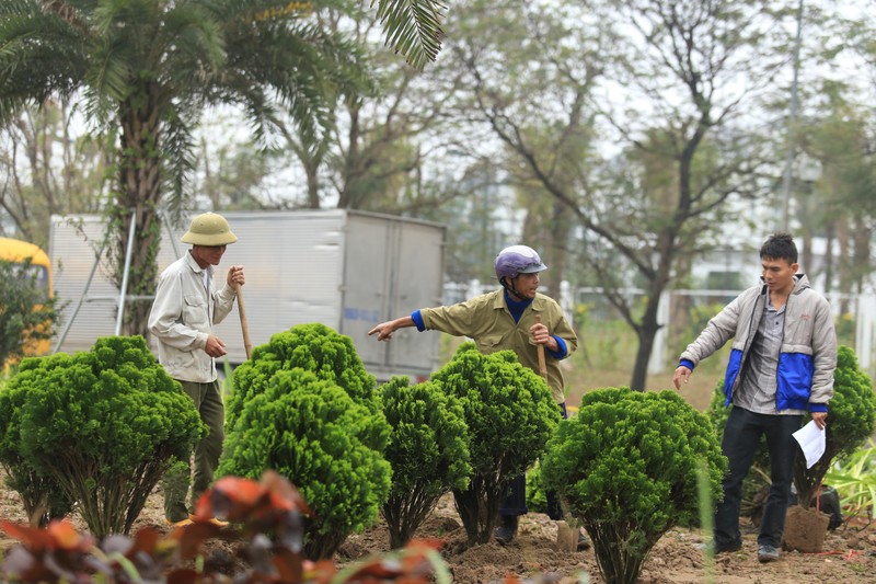 Truoc them Hoi nghi Thuong dinh My-Trieu: Ha Noi rop co hoa, bang ron-Hinh-7