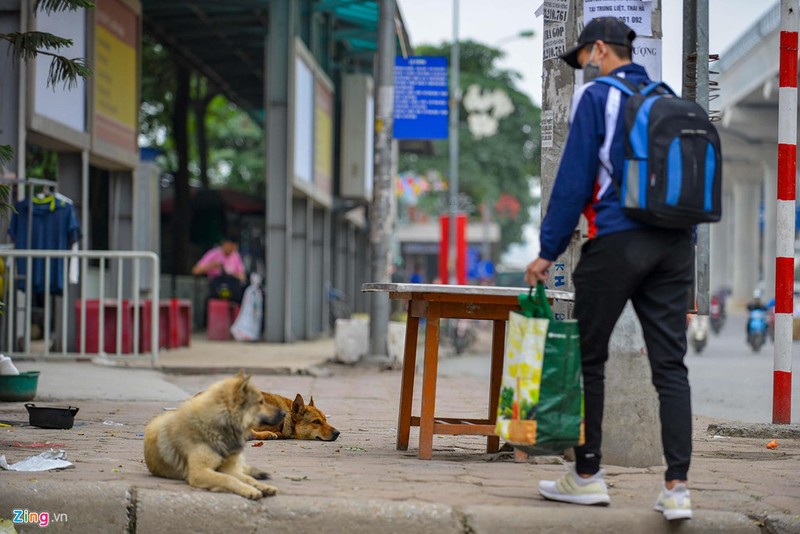 Ha Noi: Cho khong ro mom tha rong nhan nhan via he-Hinh-2