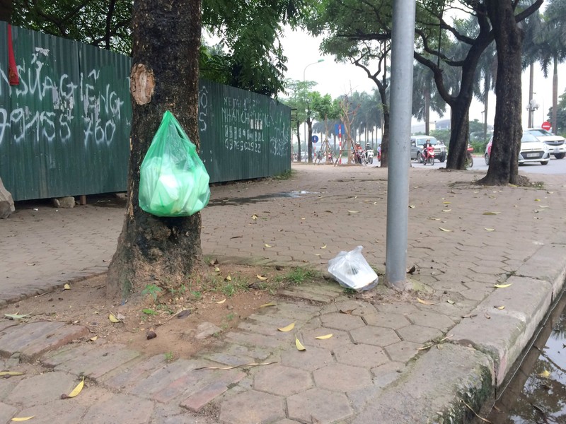 Ha Noi ngap rac chang khac gi duong lang-Hinh-7