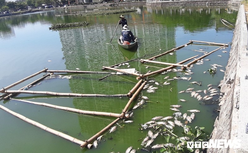 Ca chet noi trang ho o Da Nang: Cong ty Thoat nuoc khang dinh do nang nong, dan noi do nguon nuoc thai