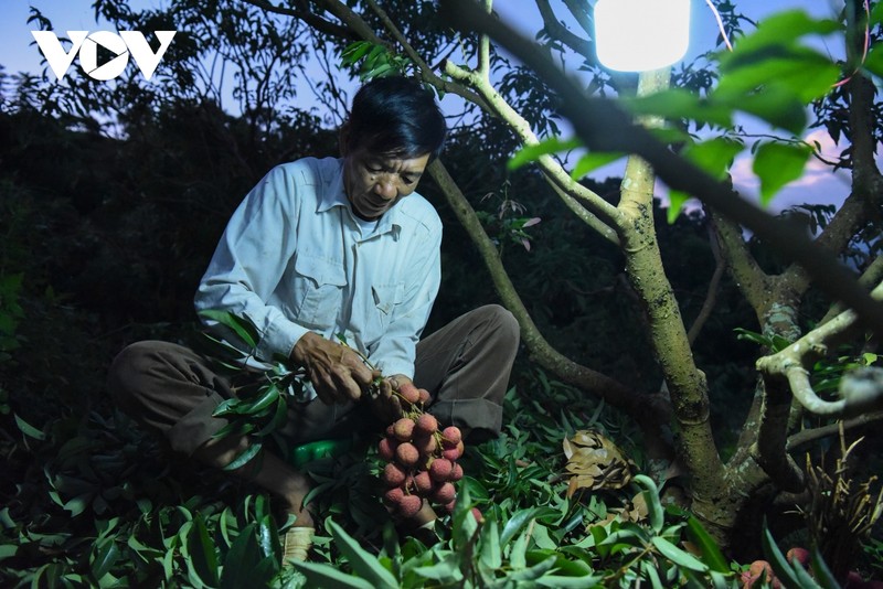 Tat bat cung nguoi dan Luc Ngan di hai vai tu luc nua dem-Hinh-6