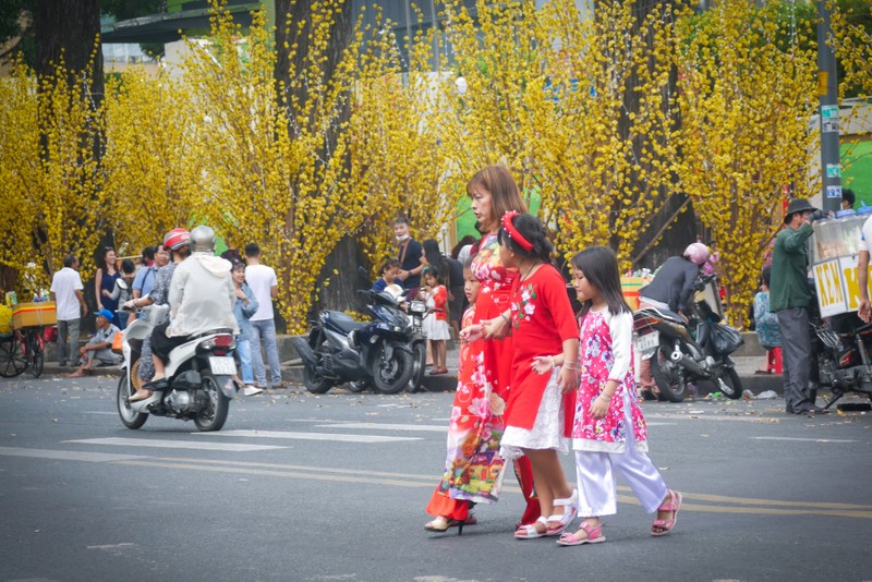 Ngam hotgirl Sai Gon xung xinh ao dai den check-in tren 'duong mai vang'-Hinh-3