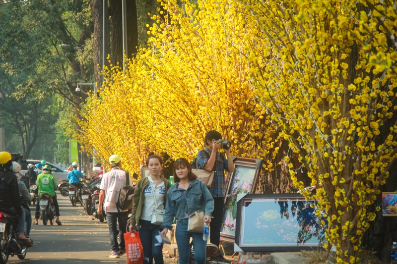 Ngam hotgirl Sai Gon xung xinh ao dai den check-in tren 'duong mai vang'