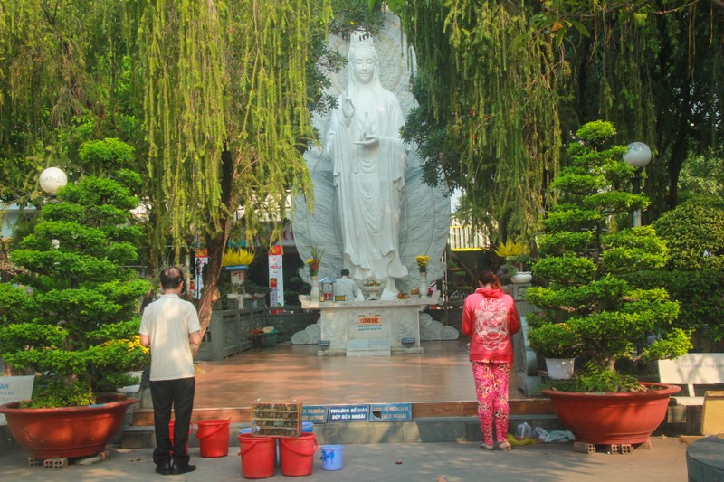 Ca chep chua kip 'chau troi' da bi vao ro nguoi chich dien-Hinh-2