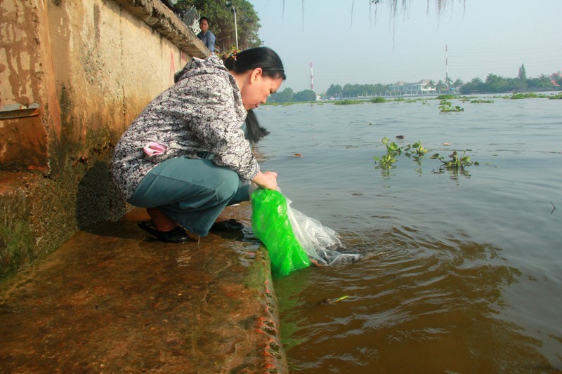 Ca chep chua kip 'chau troi' da bi vao ro nguoi chich dien-Hinh-3