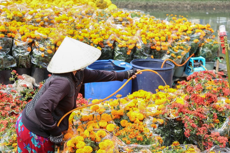 Nhon nhip cho hoa 'tren ben duoi thuyen' hut khach o Sai Gon-Hinh-12