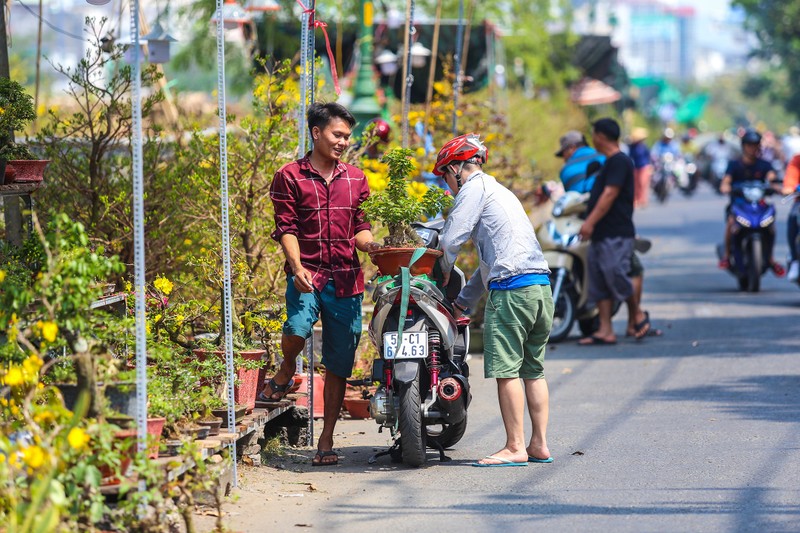 Nhon nhip cho hoa 'tren ben duoi thuyen' hut khach o Sai Gon-Hinh-17