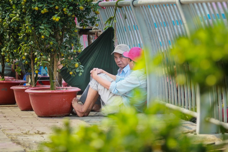 Nhon nhip cho hoa 'tren ben duoi thuyen' hut khach o Sai Gon-Hinh-18