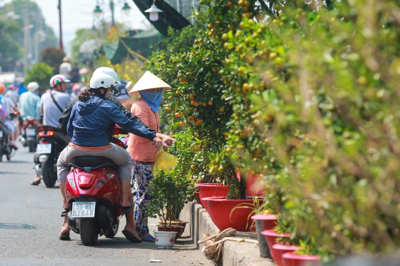 Nhon nhip cho hoa 'tren ben duoi thuyen' hut khach o Sai Gon-Hinh-20