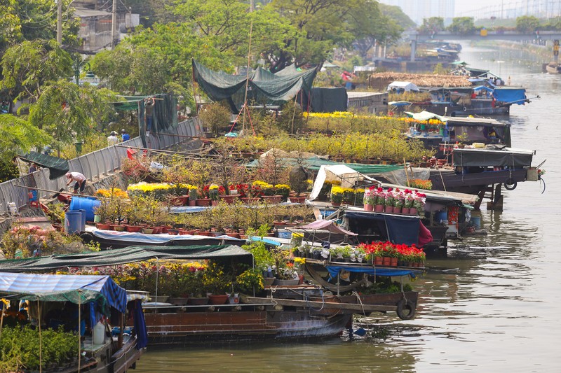 Nhon nhip cho hoa 'tren ben duoi thuyen' hut khach o Sai Gon-Hinh-3