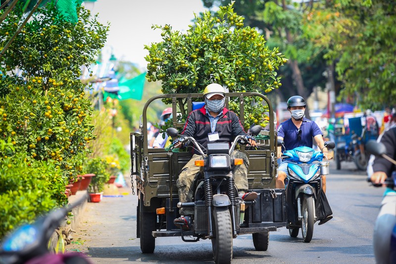 Nhon nhip cho hoa 'tren ben duoi thuyen' hut khach o Sai Gon-Hinh-5