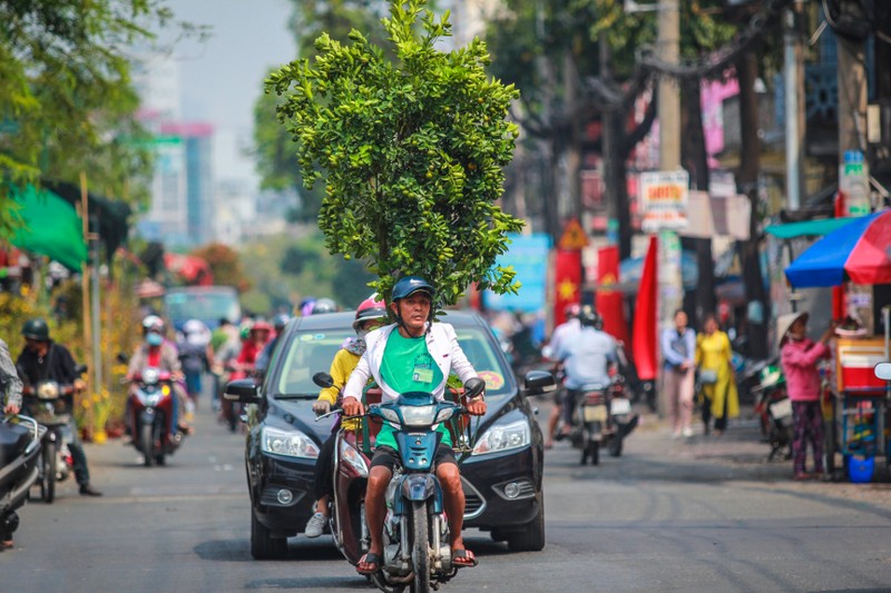 Nhon nhip cho hoa 'tren ben duoi thuyen' hut khach o Sai Gon-Hinh-7