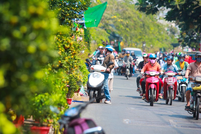 Nhon nhip cho hoa 'tren ben duoi thuyen' hut khach o Sai Gon-Hinh-8