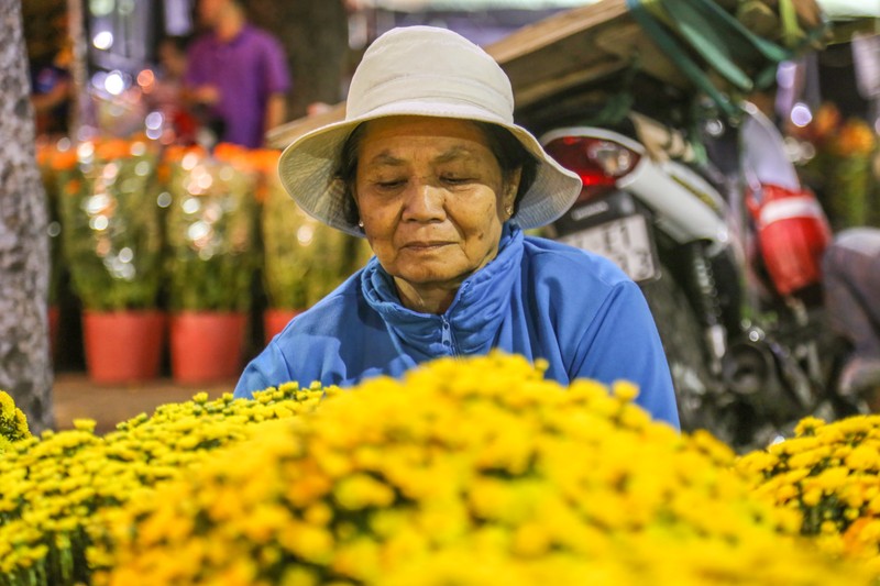 Tieu thuong dung leu giua cong vien, thuc trang dem canh hoa Tet-Hinh-10