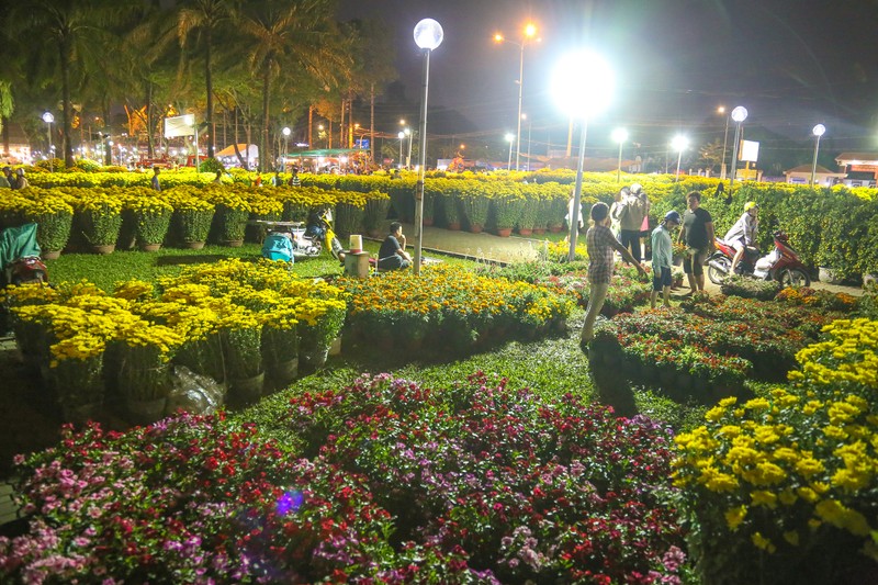 Tieu thuong dung leu giua cong vien, thuc trang dem canh hoa Tet-Hinh-9