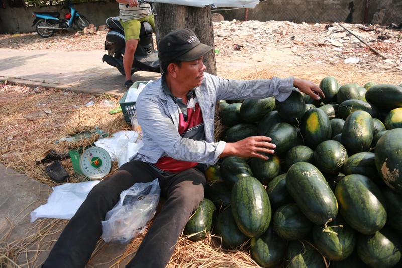 Hang nghin tan dua hau khong the xuat sang Trung Quoc, duoc dua ve Sai Gon cho 'giai cuu'-Hinh-5