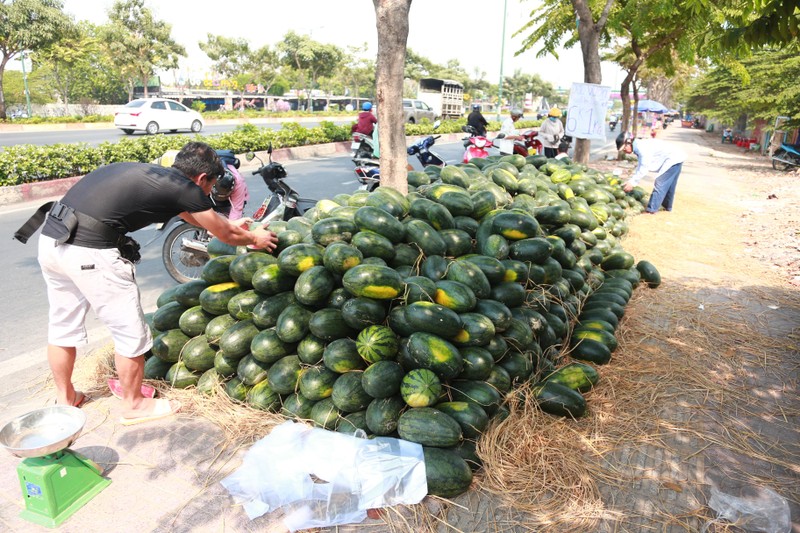 Hang nghin tan dua hau khong the xuat sang Trung Quoc, duoc dua ve Sai Gon cho 'giai cuu'