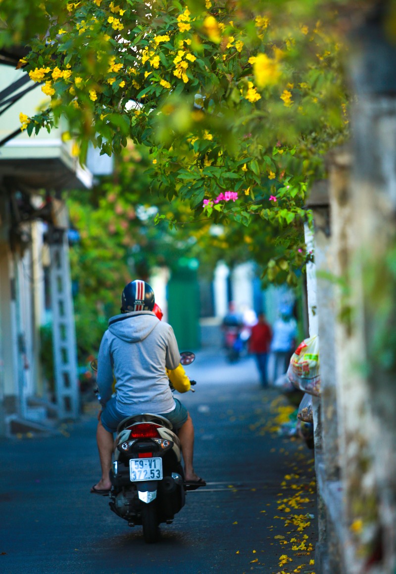 Ngam thieu nu xinh dep 'check-in' duong tau ruc vang hoa huynh lien o Sai Gon-Hinh-15