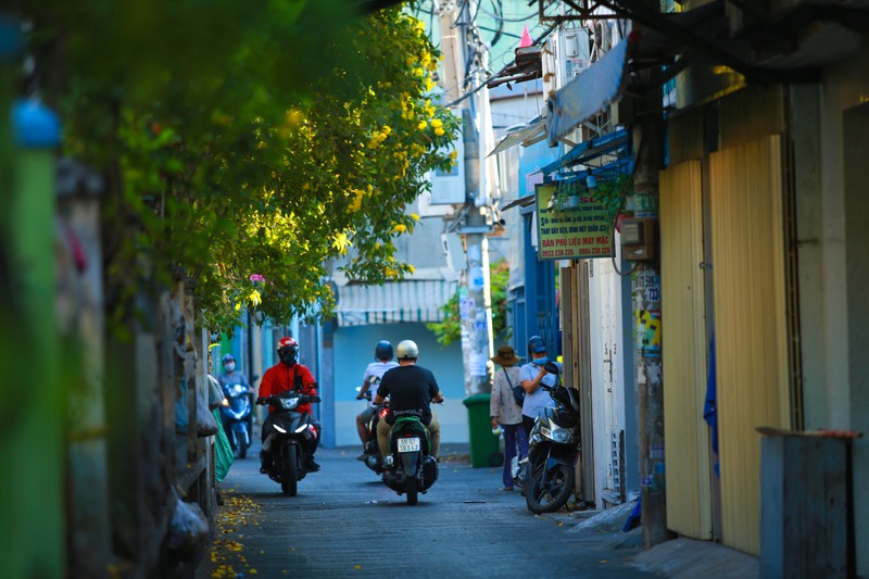 Ngam thieu nu xinh dep 'check-in' duong tau ruc vang hoa huynh lien o Sai Gon-Hinh-16