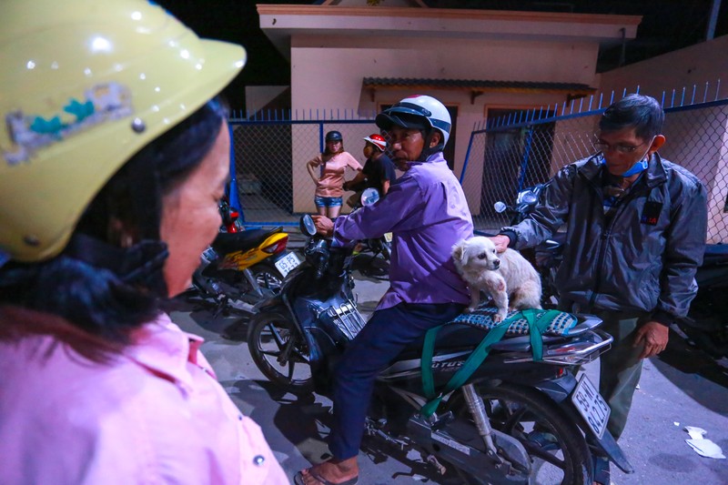 Nguoi dan an ngu vat vo ca dem o hien truong Tuan Khi bi tieu diet-Hinh-14