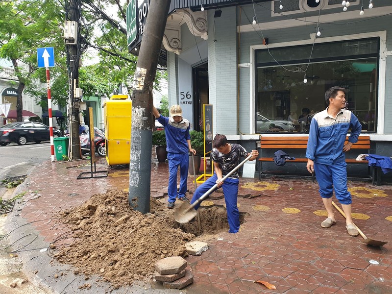 Tin moi nhat bao so 3: Hai Duong ngap lut nang, Hai Phong cay xanh bat goc hang loat-Hinh-38